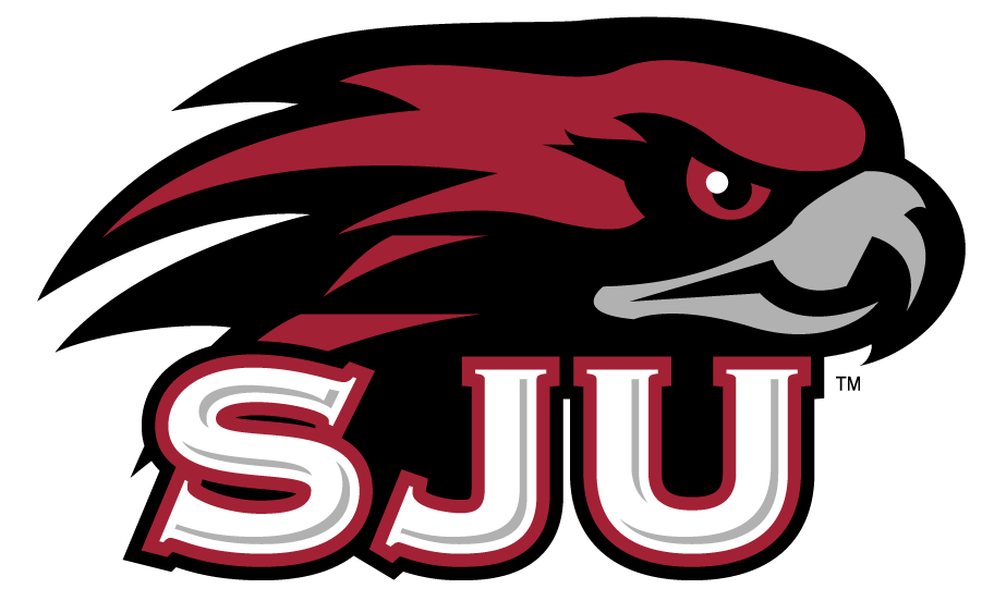 St. Joseph's Hawks 2002-Pres Secondary Logo v2 iron on transfers for clothing